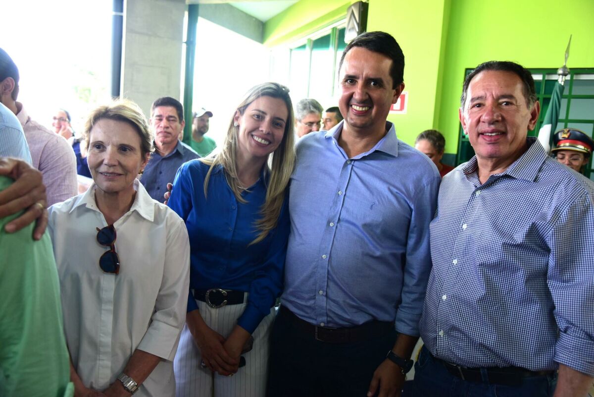 Imagem da Galeria